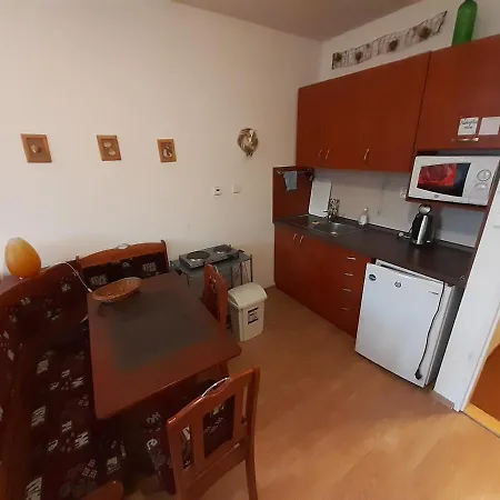 Ramzova Apartman Ruzicka Остружна