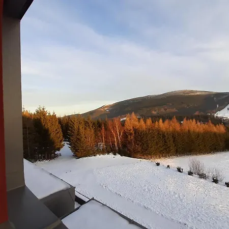 Ramzova Apartman Ruzicka * Остружна